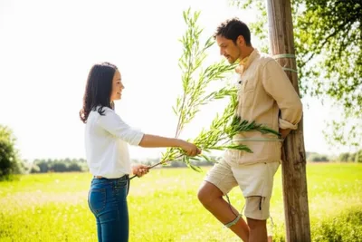 Illustration withes - Image 1