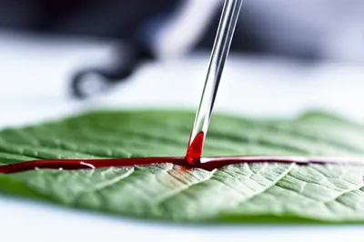 Illustration injections - Image 1