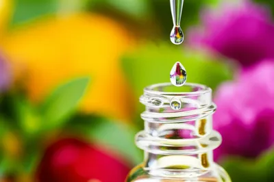 Illustration distilled - Image 1