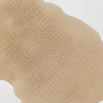 Illustration coral - Image 1