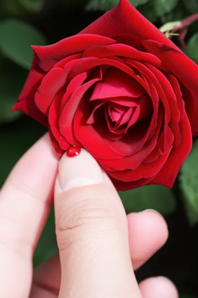 Illustration twinge - Image 1