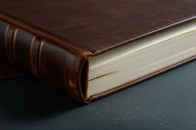 Illustration yapp - Image 1