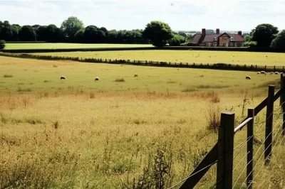 Hình ảnh minh họa yod - Ảnh 1