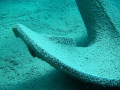 Illustration palms - Image 1