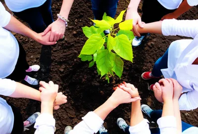 Illustration encircle