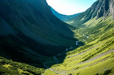 Illustration hollows - Image 1