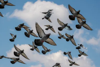 Illustration tumblers - Image 1