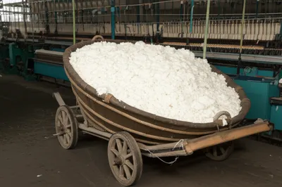 Illustration skip - Image 1