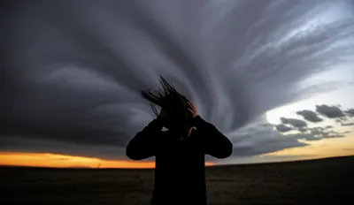 Illustration howls - Image 1