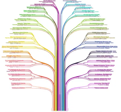 Illustration superfamilies