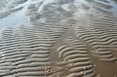 Illustration rebate - Image 1