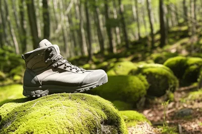 Illustration spelled - Image 1