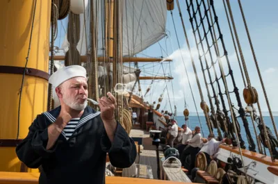 Illustration piped - Image 1