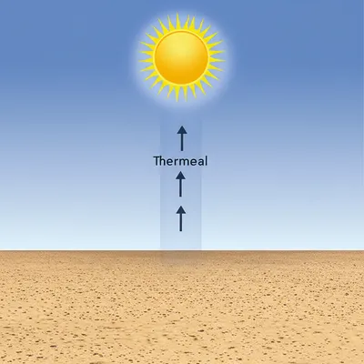 Illustration thermal