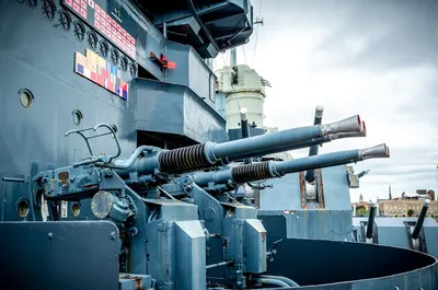 Illustration armament - Image 2