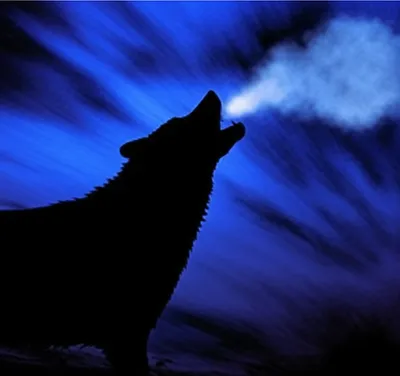 Illustration howls - Image 1