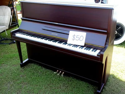 Illustration songs - Image 1