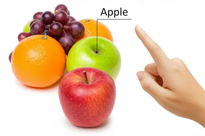 Illustration identification - Image 1