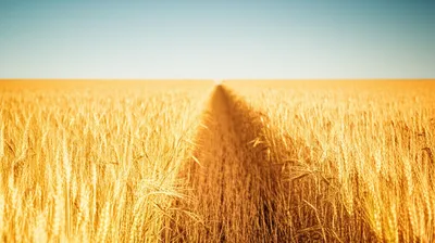 Illustration unwinding - Image 1