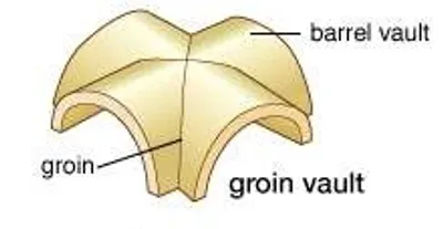 Illustration groin - Image 2