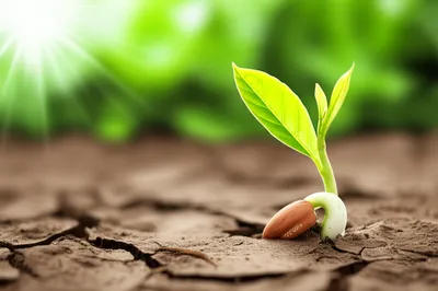 Illustration prove - Image 1