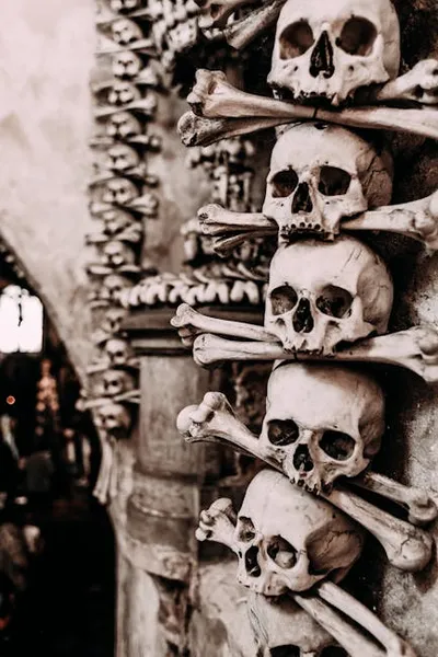 Illustration morbidly - Image 2