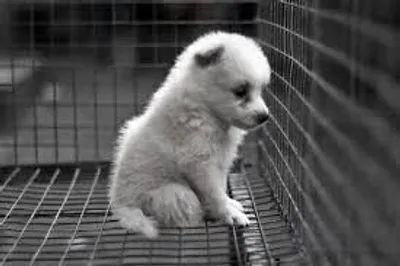 Illustration forlorn - Image 2