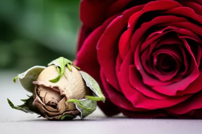 Illustration miscarriage - Image 1