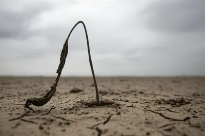 Illustration abortions - Image 1