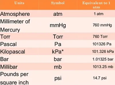 Illustration bar - Image 2