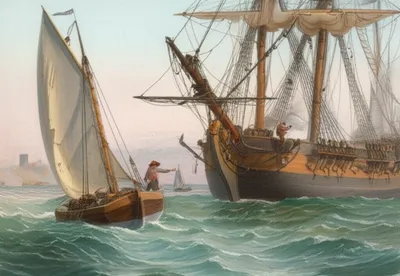 Illustration packeted - Image 1