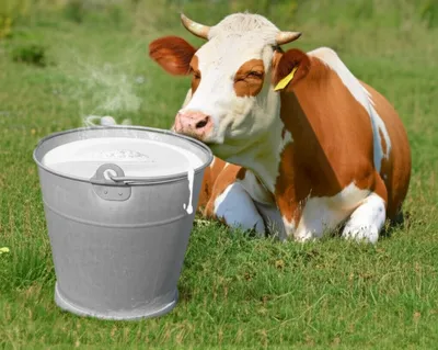 Illustration mess - Image 1