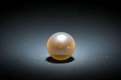 Illustration sing - Image 1