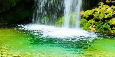 Illustration purification