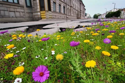 Illustration spontaneous - Image 1