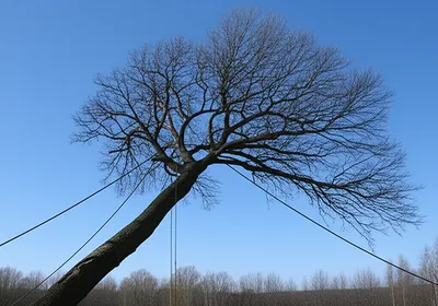 Illustration stayed - Image 1