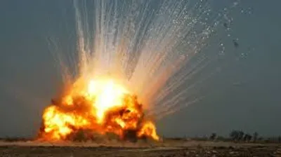 Illustration report - Image 2