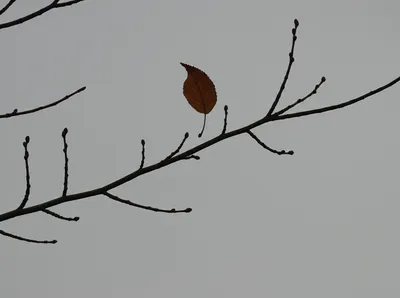 Illustration depart - Image 1