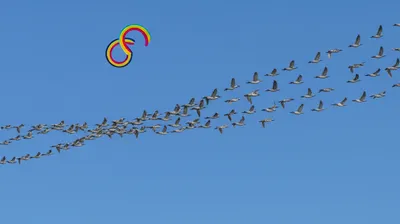 Illustration licenses - Image 1