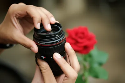 Illustration focusses - Image 1