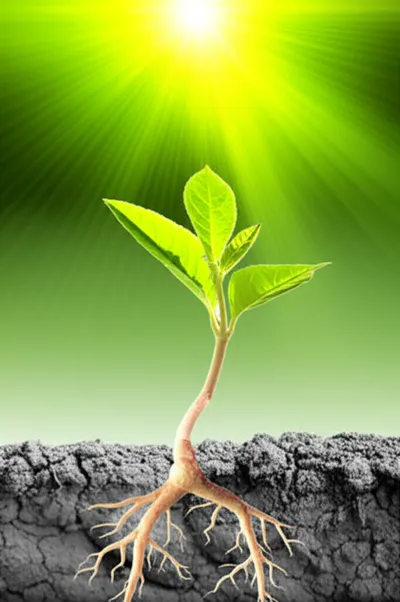 Illustration enhanced - Image 1