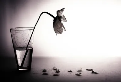 Illustration staying - Image 1