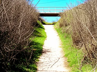 Illustration resolved - Image 1