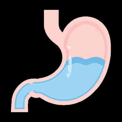 Illustration lavage - Image 1