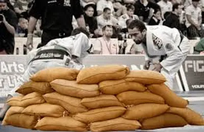 Illustration sandbag - Image 2