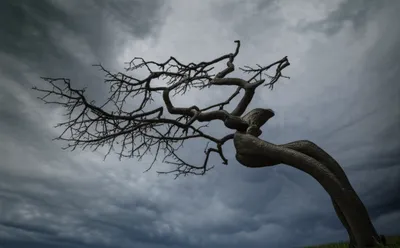 Illustration contorted