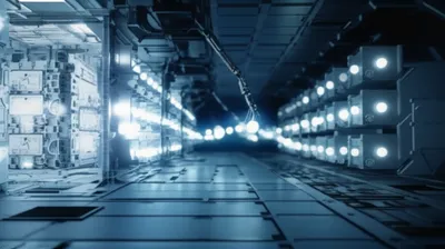 Illustration tier - Image 1