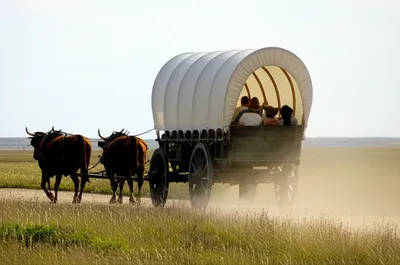 Illustration wagon - Image 1