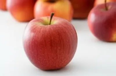 Illustration picky - Image 1