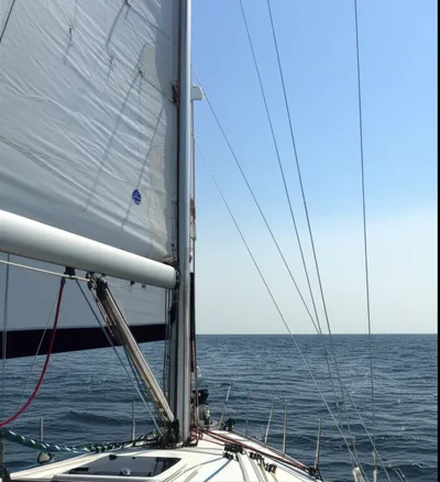 Illustration toppings - Image 1